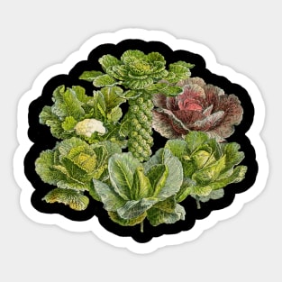 Brassicas! Sticker